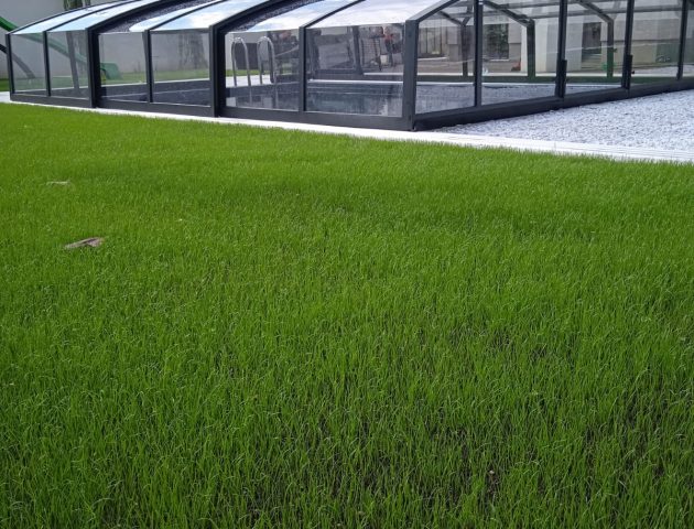 Aluna&reg; Admiral II